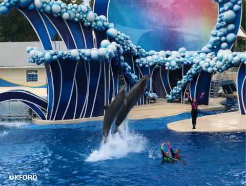 seaworld-orlando-touch-the-sky-pair-of-dolphins.jpg