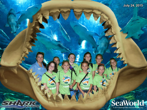 seaworld-summer-camp-2015-shark-encounter.jpg