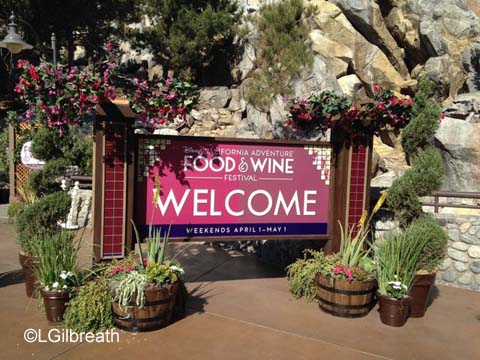 DCA Food and Wine Festival