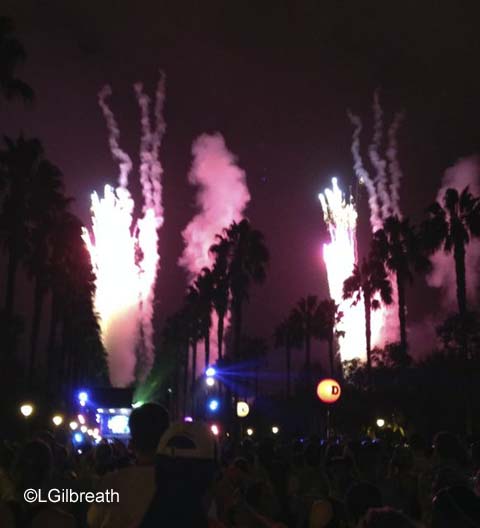 2014 Disneyland Half Marathon Weekend
