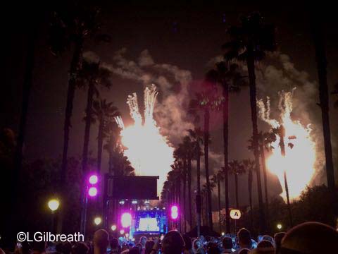 Disneyland 10th Annual Half Marathon fireworks