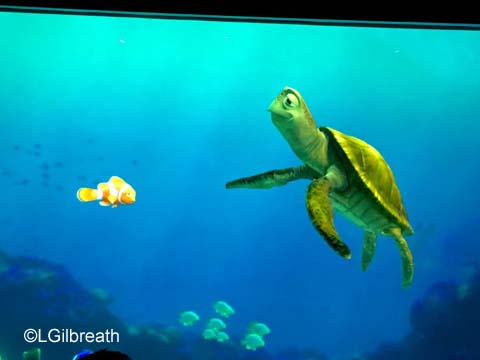Turtle Talk with Crush and Finding Dory