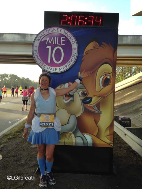 2015 Princess Half Marathon Weekend