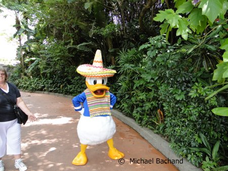 Donald Duck in person