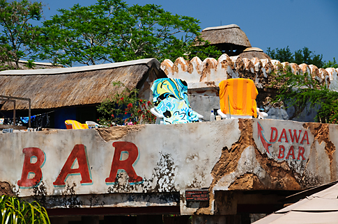  Dawa Bar in Disney's Animal Kingdom 
