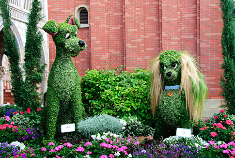 Lady and the Tramp Topiaries