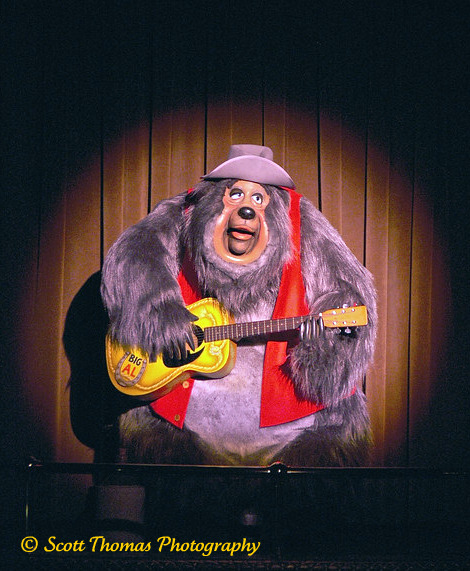 Big Al croons out a song during the Country Bear Jamboree in the Magic Kingdom's Frontierland, Walt Disney World, Orlando, Florida