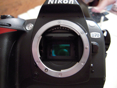 Nikon D70 Camera Sensor