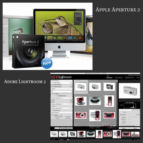 Photo management software from Adobe and Apple.