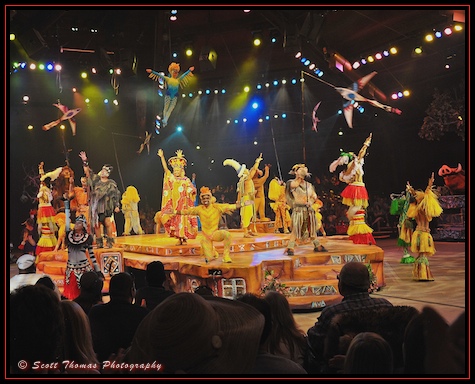 Festival of the Lion King finale in Disney's Animal Kingdom, Walt Disney World, Orlando, Florida