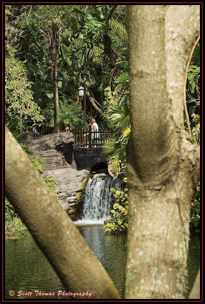 A waterfall at Disney's Animal Kingdom, Walt Disney World, Orlando, Florida