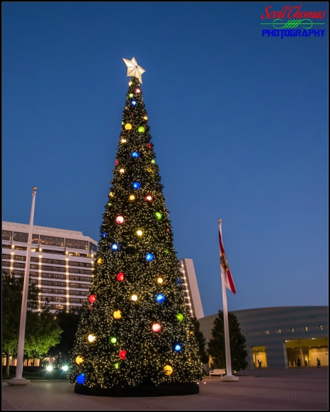 Christmas tree outside Disney's Contemporary Resort, Walt Disney World, Orlando, Florida