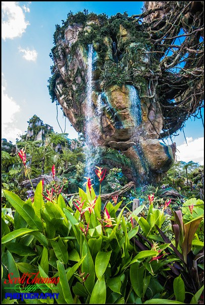 Flowers below the Floating Mountains of Pandora in the Valley of Mo'ara in Disney's Animal Kingdom, Walt Disney World, Orlando, Florida