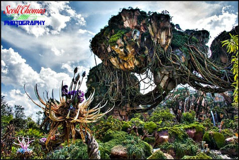 Grinch tree and Floating Mountains in the Valley of Mo'ara in Pandora at Disney's Animal Kingdom, Walt Disney World, Orlando, Florida