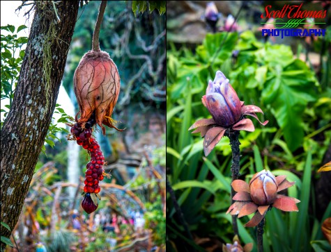 Flowers in the Valley of Mo'ara at Pandora in Disney's Animal Kingdom, Walt Disney World, Orlando, Florida
