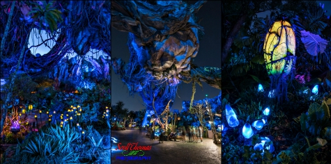 Variety of images from the Valley of Mo'ara at Pandora in Disney's Animal Kingdom, Walt Disney World, Orlando, Florida