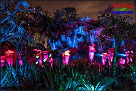 Valley of Mo'ara waterfalls at night in Pandora at Disney's Animal Kingdom, Walt Disney World, Orlando, Florida
