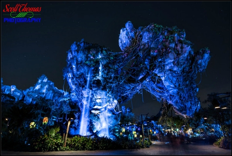 Floating Mountains at night inside Pandora in Disney's Animal Kingdom, Walt Disney World, Orlando, Florida