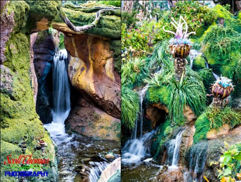 Waterfalls found along the Valley of Mo'ara in Pandora at Disney's Animal Kingdom, Walt Disney World, Orlando, Florida