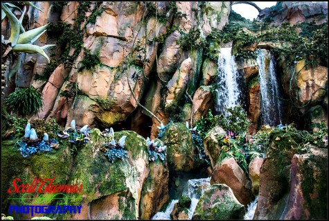 Waterfalls along the Flights of Passage queue in Pandora at Disney's Animal Kingdom, Walt Disney World, Orlando, Florida