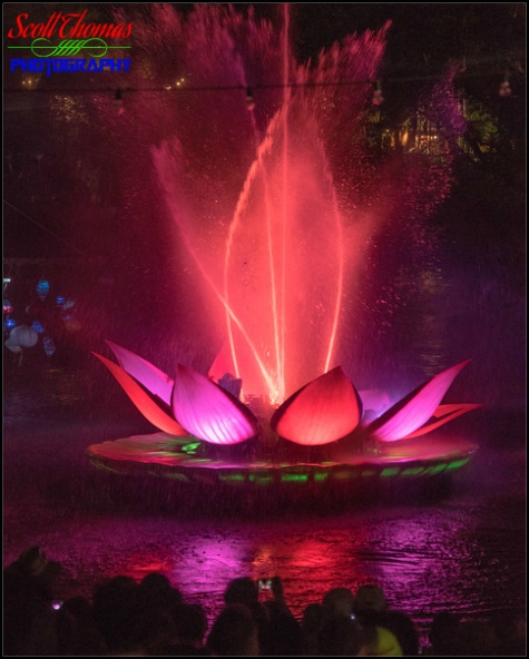 Rivers of Light show at Disney's Animal Kingdom, Walt Disney World, Orlando, Florida
