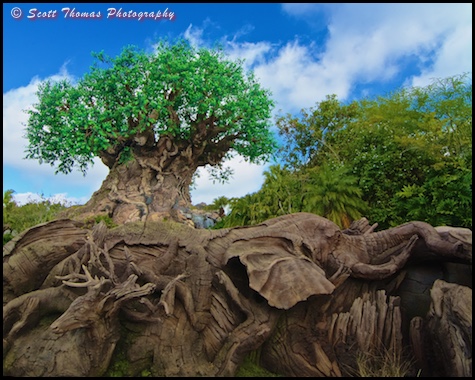 New Tree of Life carvings of a deer and African elephant at Disney's Animal Kingdom, Walt Disney World, Orlando, Florida