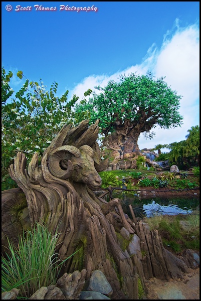 New Tree of Life carvings of a Rocky Mountain Big Horn Sheep at Disney's Animal Kingdom, Walt Disney World, Orlando, Florida