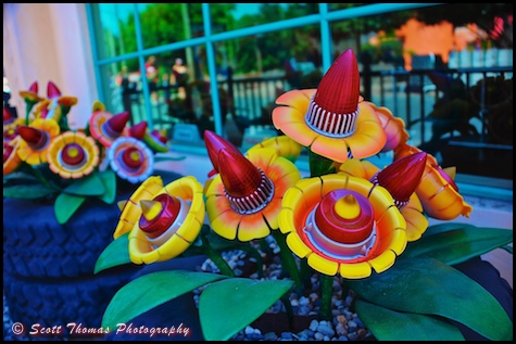 Taillight Flowers found in Carsland, Disney's California Adventure, Anaheim, California.