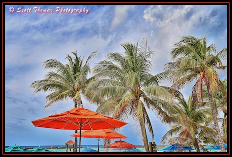 Palm trees and beach umbrellas on Castaway Cay during a cruise on the Disney Magic ship, Disney Cruise Line, Bahamas