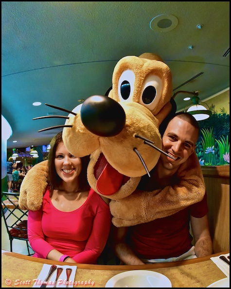 A couple gets a hug from Pluto in the Garden Grill restaurant in Epcot's The Land pavilion, Walt Disney World, Orlando, Florida