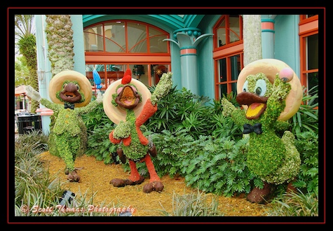 The Three Caballeros topiaries fit the American Southwest/Mexico theme of the Coronado Springs Resort perfectly, Walt Disney World, Orlando, Florida