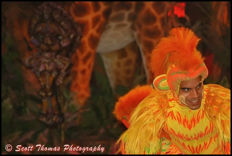 A Tumble Monkey performer during Festival of the Lion King live show in Disney's Animal Kingdom, Walt Disney World, Orlando, Florida