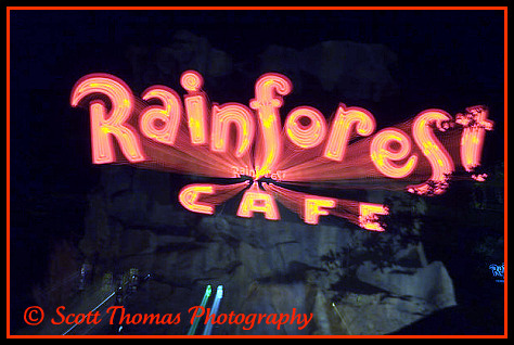 Rainforest Cafe sign zoomed in at Downtown Disney, Walt Disney World, Orlando, Florida.