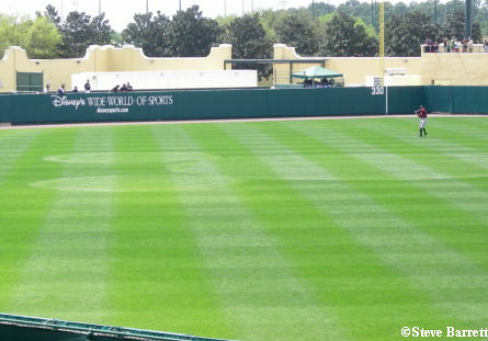 classic Mickey image is planted in the center of the outfield