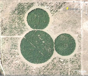 Huge Mickey via Google Earth