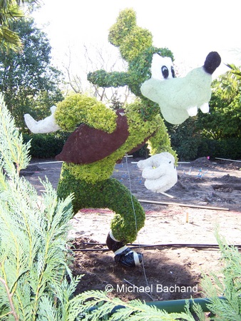 Goofy Topiary