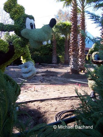 Goofy and Donald Topiary